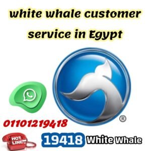 الخط الساخن لشركة وايت ويل 19418