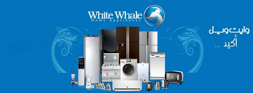 صيانة وايت ويل اسيوط 19418